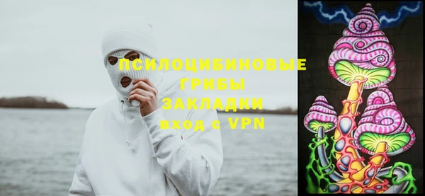 гашик Беломорск