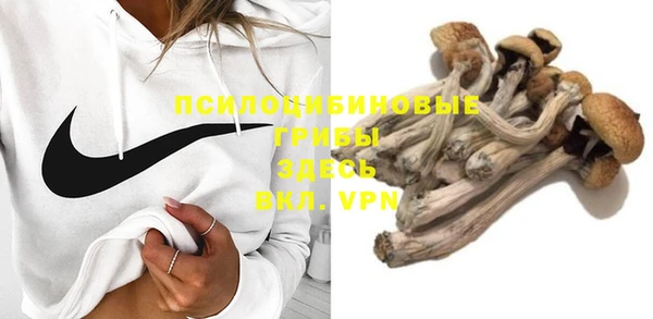 гашик Беломорск