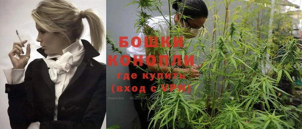 apvp Белокуриха
