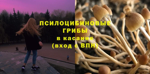 гашик Беломорск