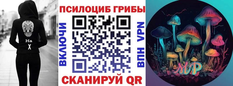 продажа наркотиков  Балахна  Галлюциногенные грибы мицелий 